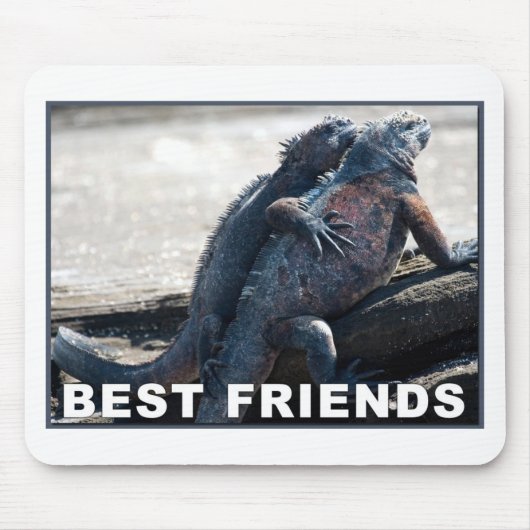 Best Friends Muismat (Voorkant)