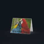 Best Friends-Note Kaart<br><div class="desc">Twee ara's brengen de middag door met elkaar verzorgen. Kaart kan worden aangepast met uw eigen tekst. Kies je lettertype en kleur. Gebruik de kaart als verjaardagsuitnodiging of bedankkaart. Veel mogelijkheden.</div>