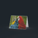 Best Friends-Note Kaart<br><div class="desc">Twee ara's brengen de middag door met elkaar verzorgen. Kaart kan worden aangepast met uw eigen tekst. Kies je lettertype en kleur. Gebruik de kaart als verjaardagsuitnodiging of bedankkaart. Veel mogelijkheden.</div>