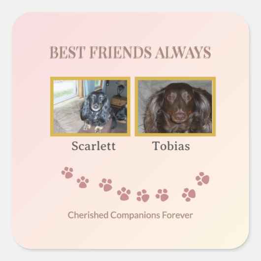 Best Friends Pawprint Vierkante Sticker (Voorkant)