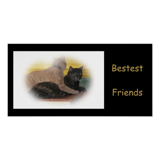 Best Friends Poster (Voorkant)
