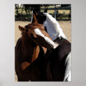 Best Friends Poster/ Print (Voorkant)