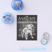 Best geschetst de anatomie van een labrador-terugw flyer (Enkel)