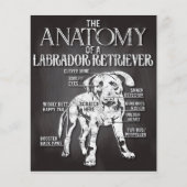 Best geschetst de anatomie van een labrador-terugw flyer (Voorkant)