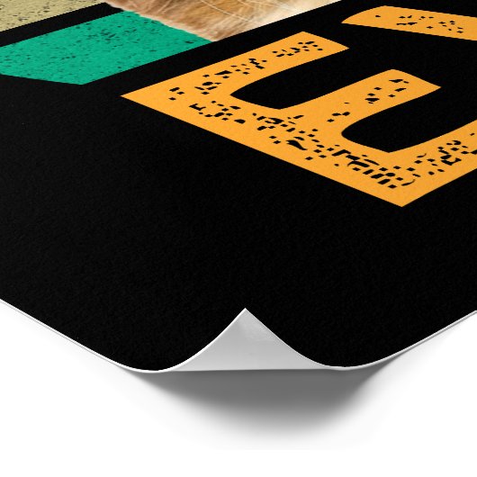 Best Maine Coon Mam Ever Poster (Hoek)