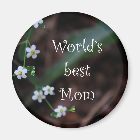Best mam Gift ter wereld Magneet (Voorkant)