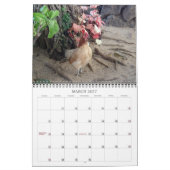 Best of Hawaii 2021-2022 Kalender (Mar 2027)