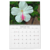 Best of Hawaii 2023-2024 Calendar Kalender (Feb 2026)
