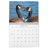 Best of Jamie Anderson Natuur Photography Calendar Kalender (Mar 2026)