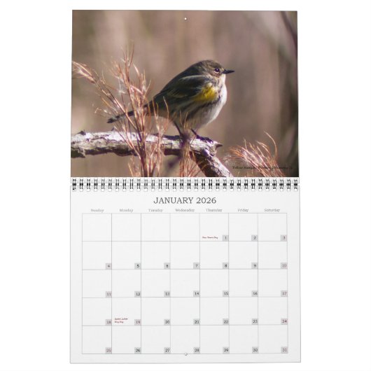 Best of Jamie Anderson Natuur Photography Calendar Kalender (Jan 2026)
