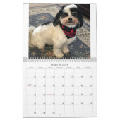 Best of K-Cee Cute Zuchon Dog 2021-2022 Kalender (Mar 2026)