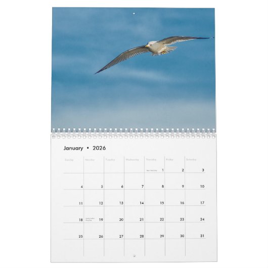 Best of Wildlife 2019 Kalender (Jan 2026)