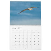 Best of Wildlife 2019 Kalender (Jan 2027)