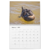 Best of Wildlife 2019 Kalender (Feb 2027)