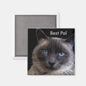 "BEST PAL" Siamese kat Magneet (Voorkant / Achterkant)