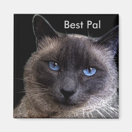 "BEST PAL" Siamese kat Magneet (Voorkant)