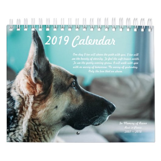 Best Paw Forward 2019 Calendar Kalender (Hoes)