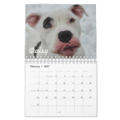 Best Paw Forward 2019 Calendar Kalender (Feb 2027)