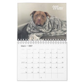 Best Paw Forward 2019 Calendar Kalender (Mar 2027)