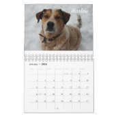 Best Paw Forward 2019 Calendar Kalender (Jan 2026)