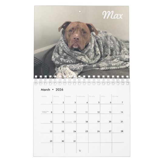 Best Paw Forward 2019 Calendar Kalender (Mar 2026)