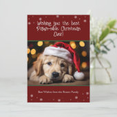 Best Paws-sible Christmas Ever Dog Foto Feestdagenkaart (Staand voorkant)