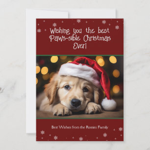 Best Paws-sible Christmas Ever Dog Foto Feestdagenkaart