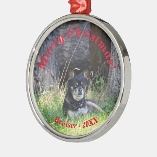 Best Pet Friend Forever Keepomwille Cadeft Metalen Ornament (Links)