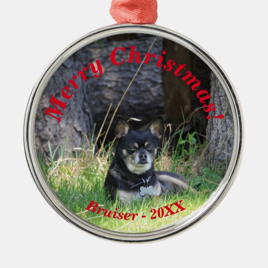 Best Pet Friend Forever Keepomwille Cadeft Metalen Ornament (Voorkant)