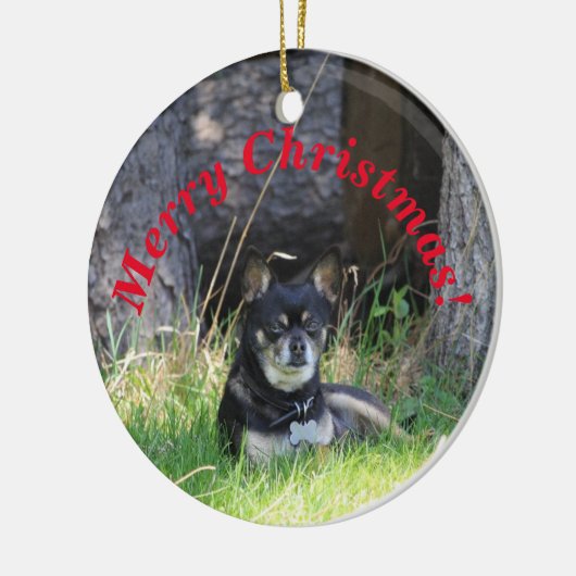 Best Pet Friend Forever Keepslag Gift Memorial Keramisch Ornament (Links)