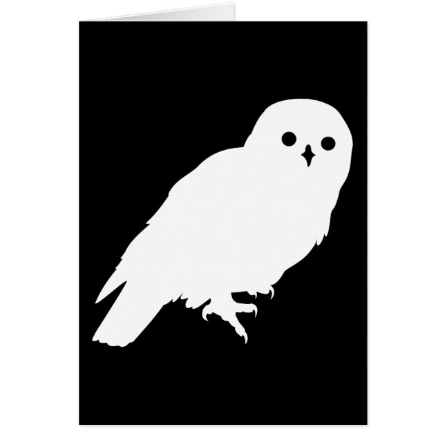 Best Price White Barn Owl (Voorkant)