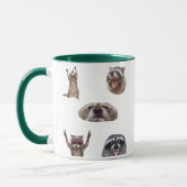 Best Raccoon Meme Compilation Funny Meme Set Mug Mok (Links)