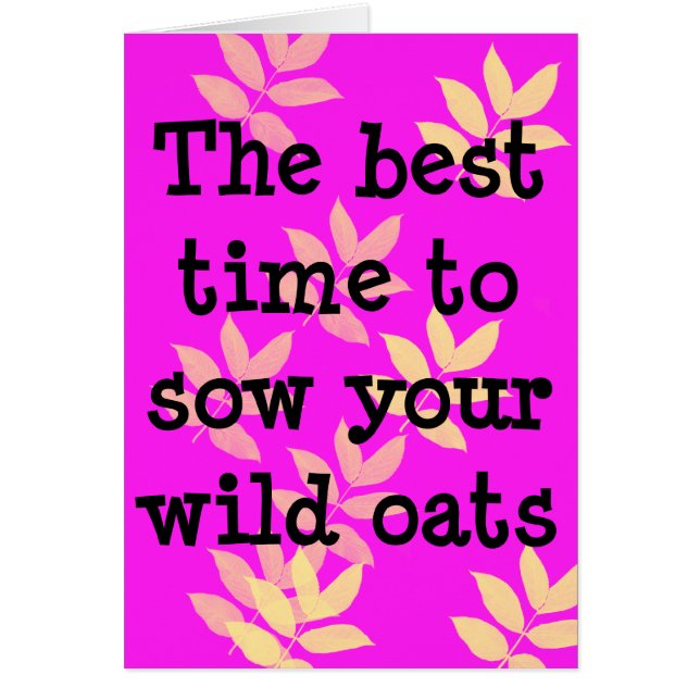 Best Time to Sow Wild Oats (Voorkant)