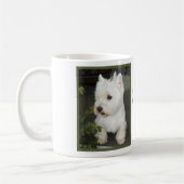 Best West Highland Terrier Ever Mok (Links)