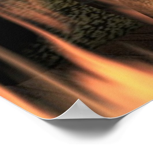 Bestaat Speciale uitgave Poster (Hoek)