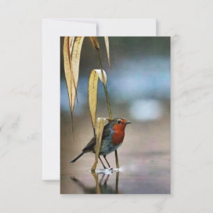 Beste 3,5-inch x 5-inch flat-panelkaart voor dank bedankkaart