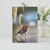 Beste 3,5-inch x 5-inch flat-panelkaart voor dank bedankkaart (Staand voorkant)