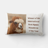 Beste Alpaca Monowenkbrauw Kussen (Achterkant)