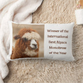 Beste Alpaca Monowenkbrauw Kussen (Deken)