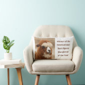 Beste Alpaca Monowenkbrauw Kussen (Stoel)