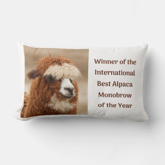Beste Alpaca Monowenkbrauw Kussen (Voorkant)