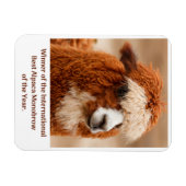 Beste Alpaca Monowenkbrauw Magneet (Horizontaal)