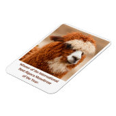 Beste Alpaca Monowenkbrauw Magneet (Linkerzijde)