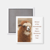 Beste Alpaca Monowenkbrauw Magneet (Voorkant / Achterkant)