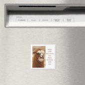 Beste Alpaca Monowenkbrauw Magneet (Insitu (Vaatwasser))