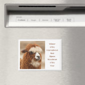 Beste Alpaca Monowenkbrauw Magneet (Insitu (Vaatwasser))