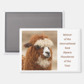 Beste Alpaca Monowenkbrauw Magneet (Voorkant / Achterkant)