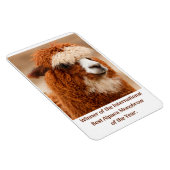 Beste Alpaca Monowenkbrauw Magneet (Rechterzijde)