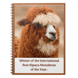Beste Alpaca Monowenkbrauw Notitieboek