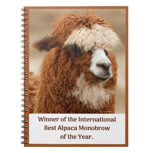 Beste Alpaca Monowenkbrauw Notitieboek (Voorkant)